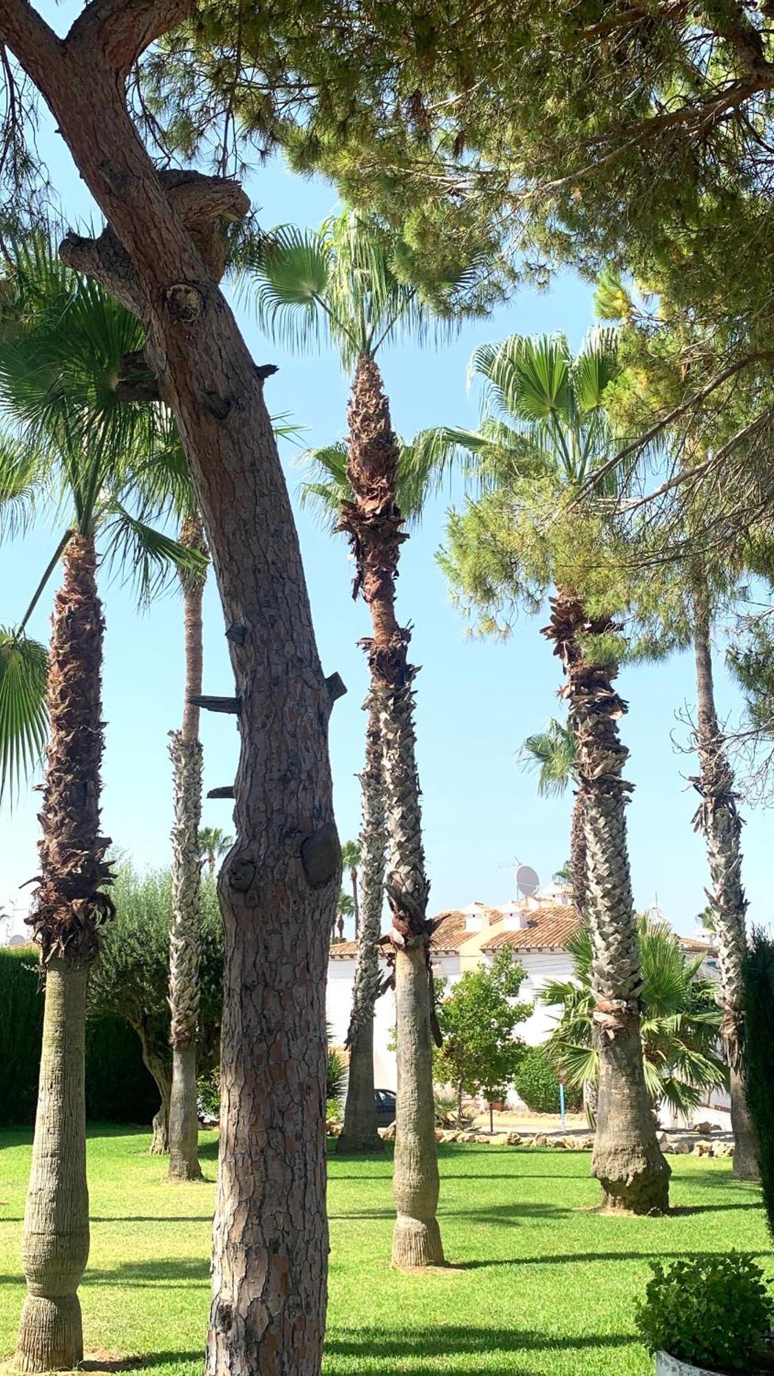 Lagovista45 Torrevieja Exterior foto